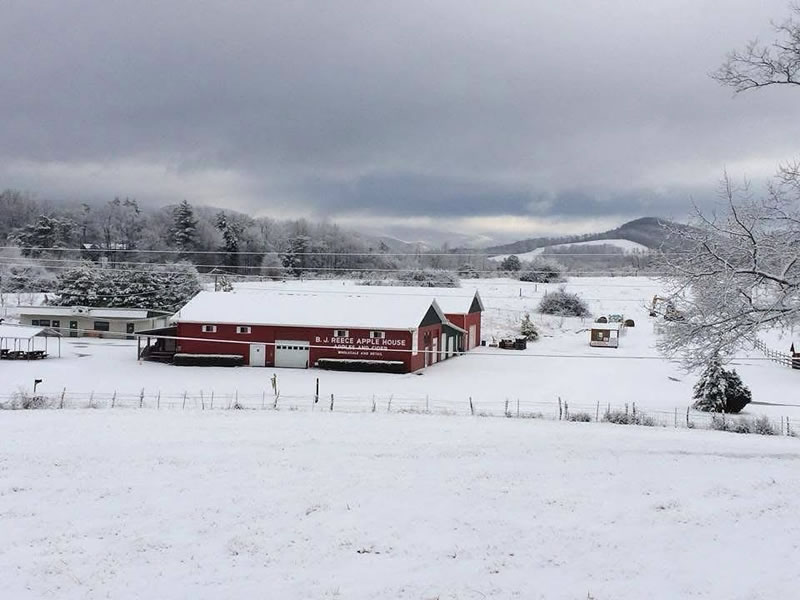 snowy scene in the blue ridge mountains near ellijay georgia