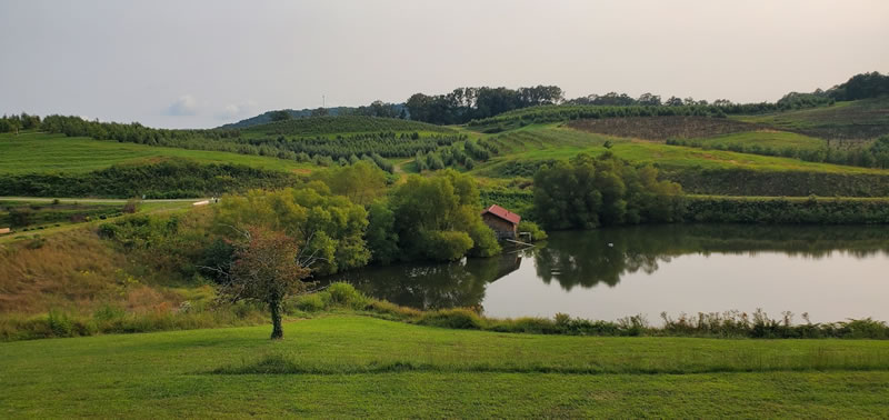 a photograph of Mercier Orchards in Blue Ridge, Georgia with a pond reflecting the scenery